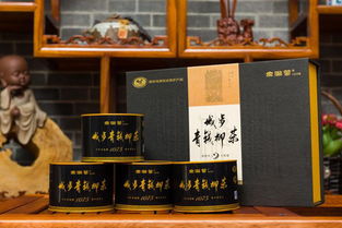 青柳源·青钱柳产品亮相第二届湖湘文化艺术交流周 以茶为媒，传承湖湘文化新篇章